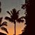 Debra Berg's profile image