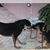 Janet Friel-Adams's profile image