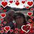 Tommy Avenall's profile image