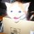 Stevie Thorsen's profile image