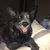 Pamela S Hurst's profile image