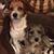 Winnie N Diane Evans's profile image