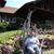 Peter Trull's profile image