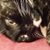 Amanda Elizabeth Overcash's profile image