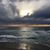 Pamela Craft's profile image