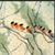 Connie Cathcart Kelly's profile image