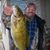 Joe Castello's profile image