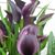 Carla Crossland's profile image