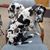 Kimberly Barlow Berger's profile image