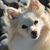 Donna Thorsted's profile image