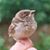 Veronica Zrnchik's profile image