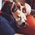 Alex Garner's profile image