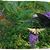 Maxine Medaglia's profile image