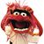 Tim Randow's profile image