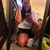 Jordan Gaberille Thompson's profile image