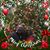 Valerie Jane Coppedge's profile image