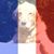 Kirk Tilton's profile image