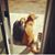 Nicole Hossfeld's profile image