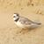Mary T. Duros's profile image