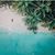 Alondra Del Mar Torres's profile image