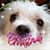 Susan Monroe Kellett's profile image