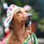 Jose Saico's profile image