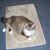 Winette Dysland's profile image