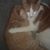 Ellen Wein's profile image