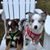 Maureen Toomey Moreno's profile image