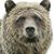 Michael Counihan's profile image