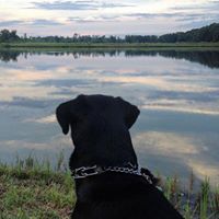 Gaie Baldwin Burrows's profile image