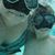 Narda Conner Smith's profile image