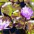 Kristalyn Castle's profile image