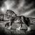 Izabela Love's profile image