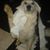Tat Tara Shockley's profile image
