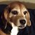 Kim Murphy Schneider's profile image