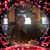 Randie Kornblau Tobin's profile image