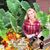 Stephanie Rose's profile image