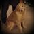 Kathy Knutson's profile image