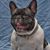 Tracy DePasquale Cullum's profile image