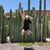 Romina Sanchez Anguiano's profile image
