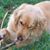 Lucille Gardner's profile image