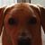 Susan Navarro's profile image