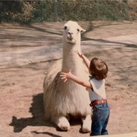 Karen Dupuis's profile image