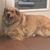 Cyndi Ragon's profile image