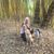 Barb Polzin's profile image