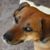 Sandy C Garrison's profile image