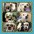 Lula Gutierrez's profile image