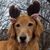 Bryan Casler's profile image