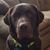 Michelle Kirkpatrick's profile image
